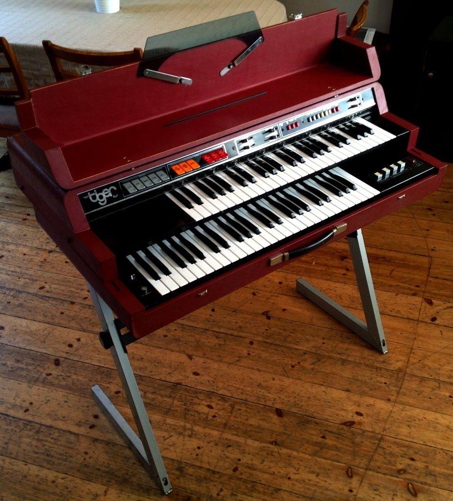new_tiger_duo_ekogallery_classic_2_vintage